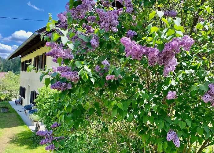 아파트 Mama Trixi's